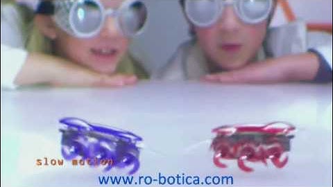 Hexbug Hormiga en RO-BOTICA