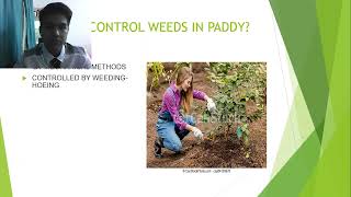 VIDEO PRESENTATION AGR 142 : WEED MANAGEMENT