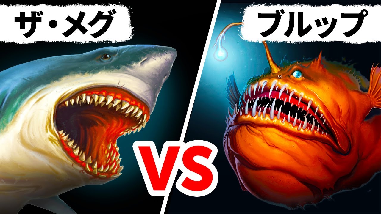 メガロドン事実か虚構か？古代サメの遺産を探る