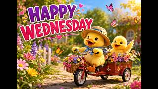 Happy Wednesday Cute Beautiful Wednesday Wishes to Brighten Your Day