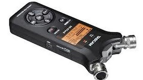 Wind Experiment - iPhone vs Tascam DR-07mkII