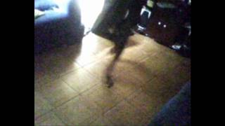 leozinho_rebolation_by_p/juh