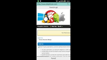 Delphi 10.2.3 TWebBrowser