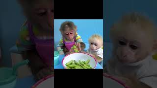 Bibi Feeds Monkey Baby Obi With String Beans