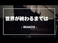 世界が終わるまでは⋯ / WANDS -Cover-