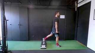 DB RFE 1 1 4 SPLIT LUNGE