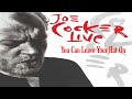 Joe Cocker – You Can Leave Your Hat On Vinyl 1990