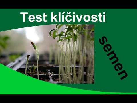 Video: Kontrolujete Klíčivost Semen?