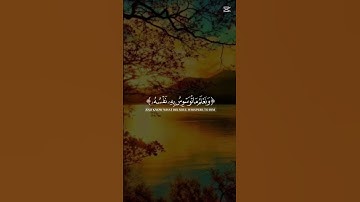 القارئ محمد هشام #المصحف #quran #الرحمن #القرآن_الكريم
