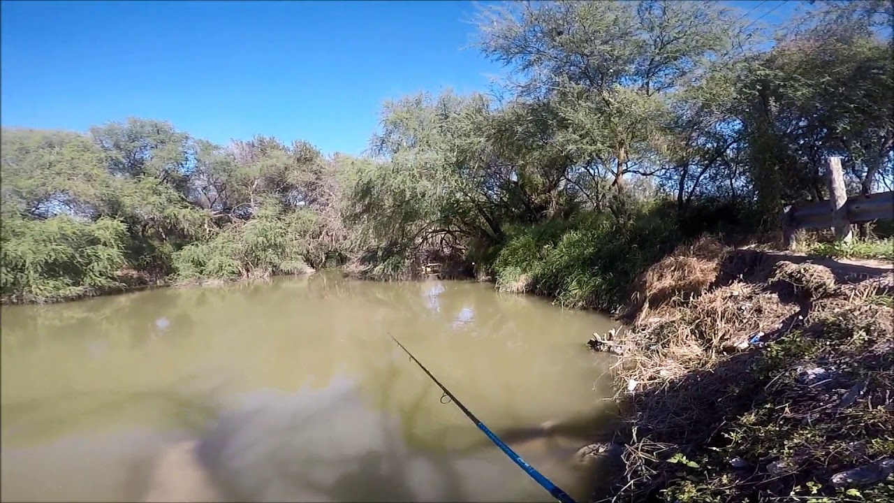 Irrigation canal fishing 