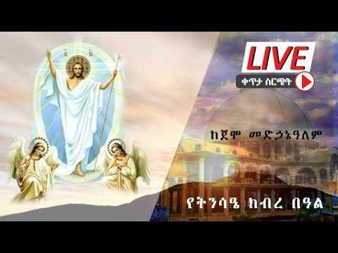 ቪዲዮ: ሚካኤል ፉሬ የት ተቀበረ?