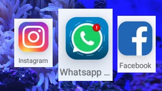 SABABU zilizopelekea kufungwa kwa mitandao hii.. Instagram,Facebook na WhatsApp hizi hapa