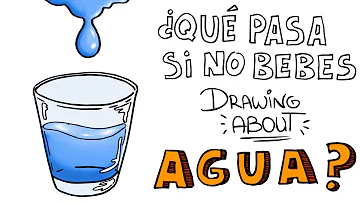 ¿Qué ocurre si no bebes agua constantemente?