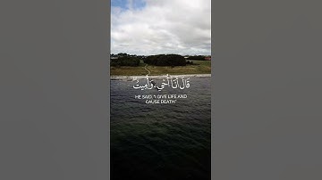 ألم تر إلى الذي حاج إبراهيم في ربه أن آتاه الله الملك #القرآن #سورة_البقرة #محمد_ديبيروف