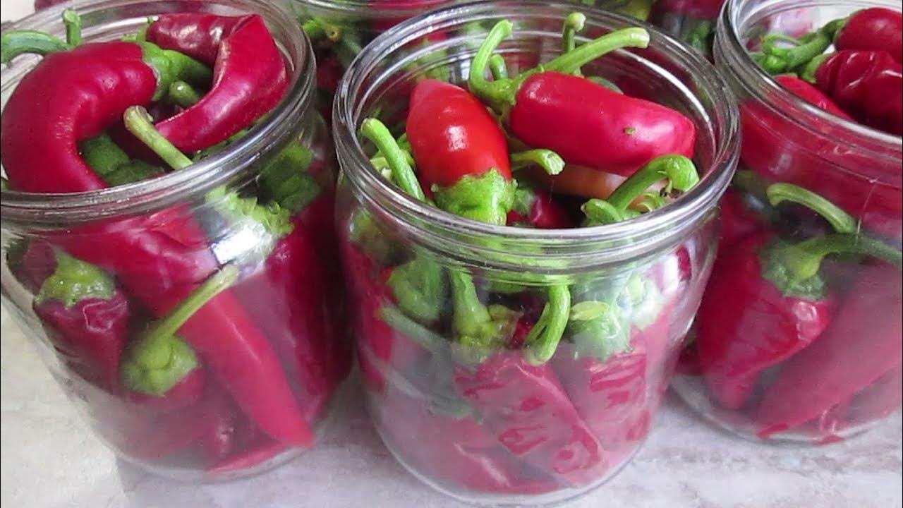 Как вкусно замариновать горький перец. Как вкусно замариновать горький перец