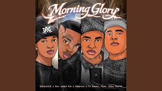 Morning Glory