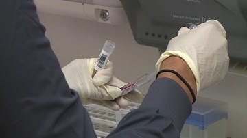 From Florida To Texas, Cases Are Starting To Trend Downward