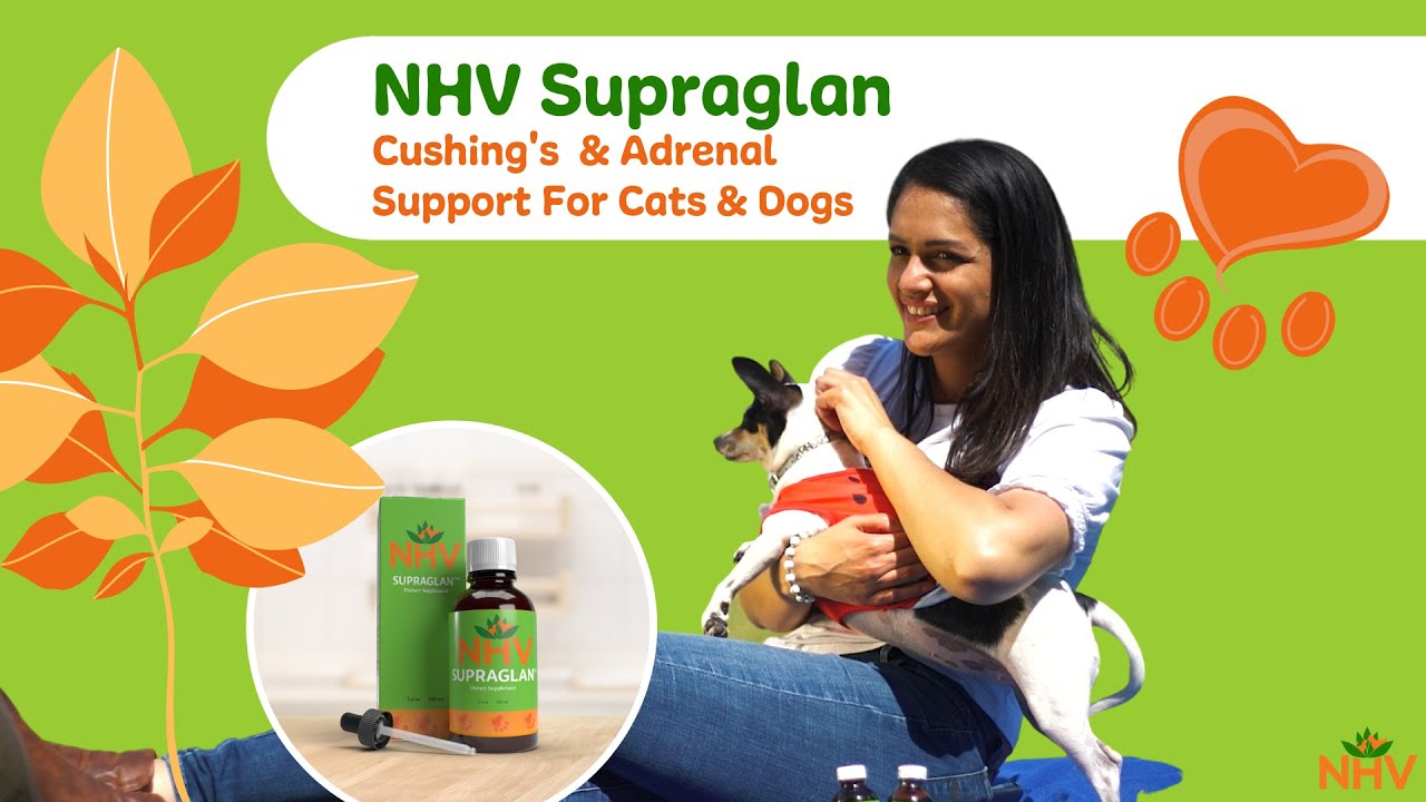 NHV Supraglan Cushing's & Adrenal Support For Cats & Dogs YouTube