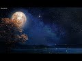 Beautiful Deep Sleep Music - Ocean Waves, Fall Asleep Fast, Relaxing Music, Sleeping Music, 12 HOURS