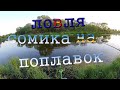 Ловля сомика и карася на поплавок, рыбалка на диком озере  Рыбалка в Приморском крае.