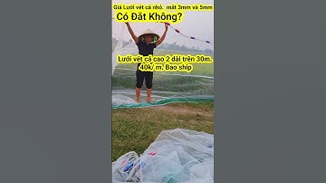 Lưới Vét Cá CHẤT LƯỢNG CAO Có Đắt Không? #shorts