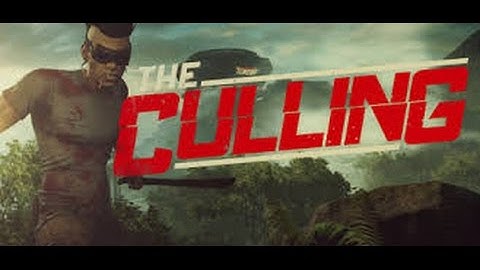 REALISTIC HUNGER GAMES (The Culling Team Gameplay)