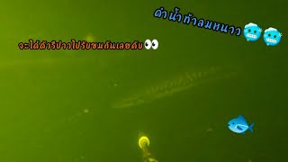 ดำน้ำท้าลมหนาวกันคับ