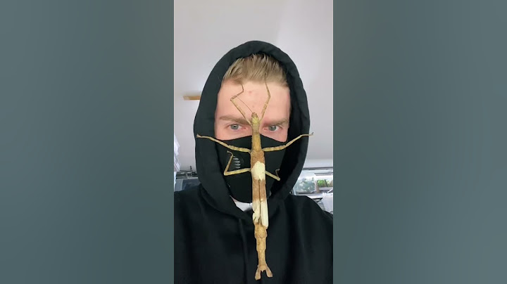 я очень боюсь насекомых это очень страшно даже на видео😳#shorts #tiktok #youtube
