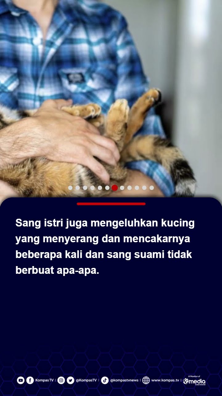 Gegara Lebih Sayang Kucing, Seorang Suami di India Digugat Istri ke Pengadilan #kucing #india