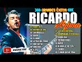 RICARDO ARJONA Éxitos Sus Mejores Romanticas Canciones💥Éxitos Album Completo💥 Éxitos De Ayer