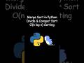 Merge Sort in Python | Divide and Conquer Sorting Explained #coding #python