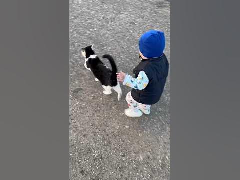 #котик #кот #даня #любовь #животные #красота #природа #дети #счастье ...