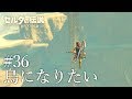 【ゼルダの伝説 ブレスオブザワイルド】#36 鳥になりたい【女性実況】
