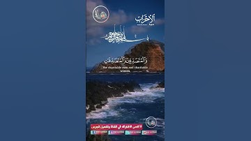 #القرآن_الكريم #تلاوة_صوت_جميل_عذب #دار_القرآن #دويتو #اكسبلور #dar_alkoran #duet #راحة_نفسية