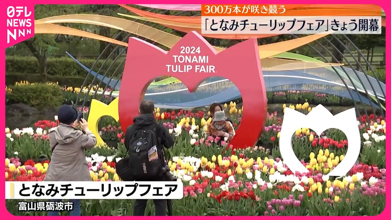 開幕】「となみチューリップフェア」 300万本が咲き競う 富山・砺波市