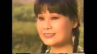 Tài Linh, Đình Văn - Anh Sáu về quê (Tân cổ) #tailinhchannel #tailinh #dinhvan #tanco