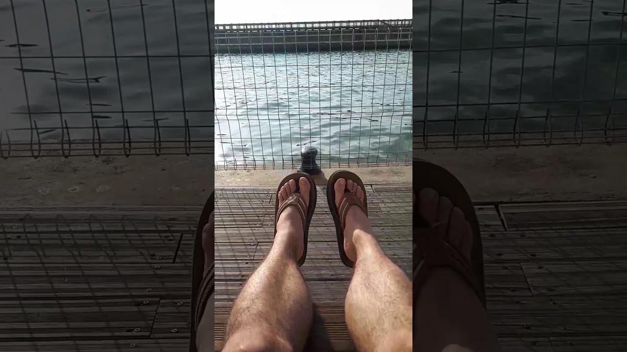 For legs lover in love