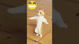 قط يرقص بطريقة مضحكة ❤️‍🔥/dancing cat #دربوكة #رقص_شرقي