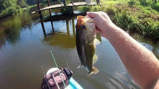 Tackle Monkey Baits in Action!