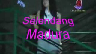 MENUNGGU SODIQ feat NENA FERNANDA