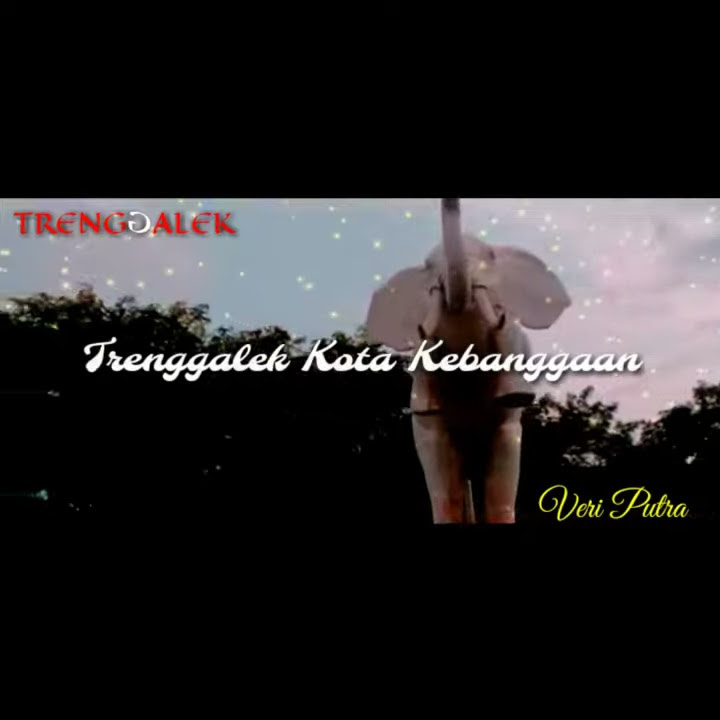 Alun-Alun trenggalek story wa 30 detik