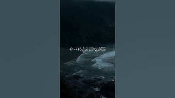 اكتب شيء تؤجر عليه 😴🤎 اذكر الله يذكرك #قران كريم بصوت القارئ ياسر الدوسري