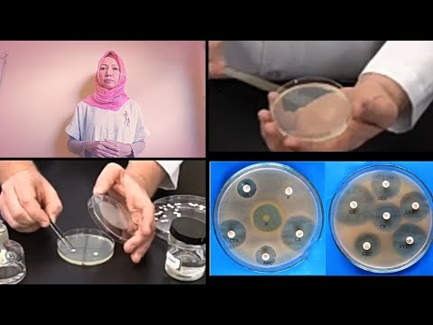 Video: Metronidazol Versus Asam Laktat Untuk Mengobati Bacterial Vaginosis (VITA): Protokol Untuk Uji Coba Terkontrol Secara Acak Untuk Menilai Efektivitas Klinis Dan Biaya Gel Asam Lakta