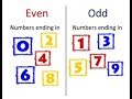 Understanding Even and Odd Numbers