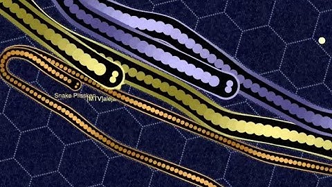 doris // another intense wrap! ft. alejandro15 // 28k // gulper.io