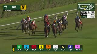Vidéo de la course PMU PRIX APERADO