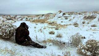 Tannerite Cow