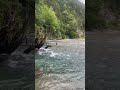 Как это не удивительно, но это Краснодарский край. #черезгорыкморю #краснодарскийкрай #природа