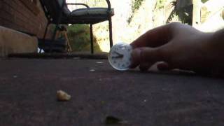 Potato and clock.avi