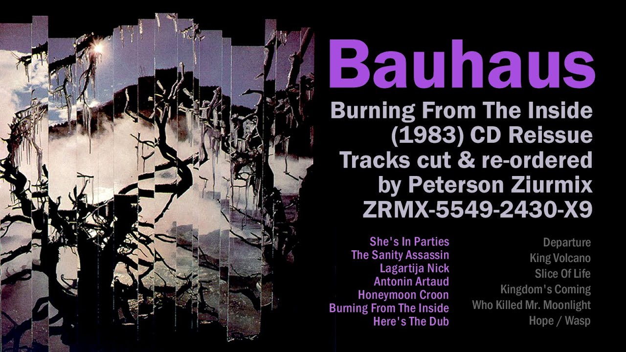 BAUHAUS 1983 BURNING FROM THE INSIDE — ZIURMIX